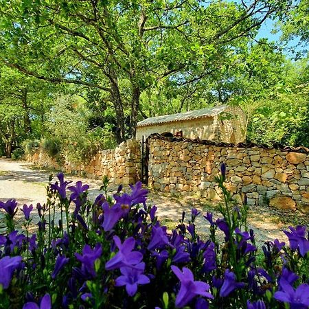 Le Donjon Des Combes Et Son Spa Fayence Buitenkant foto